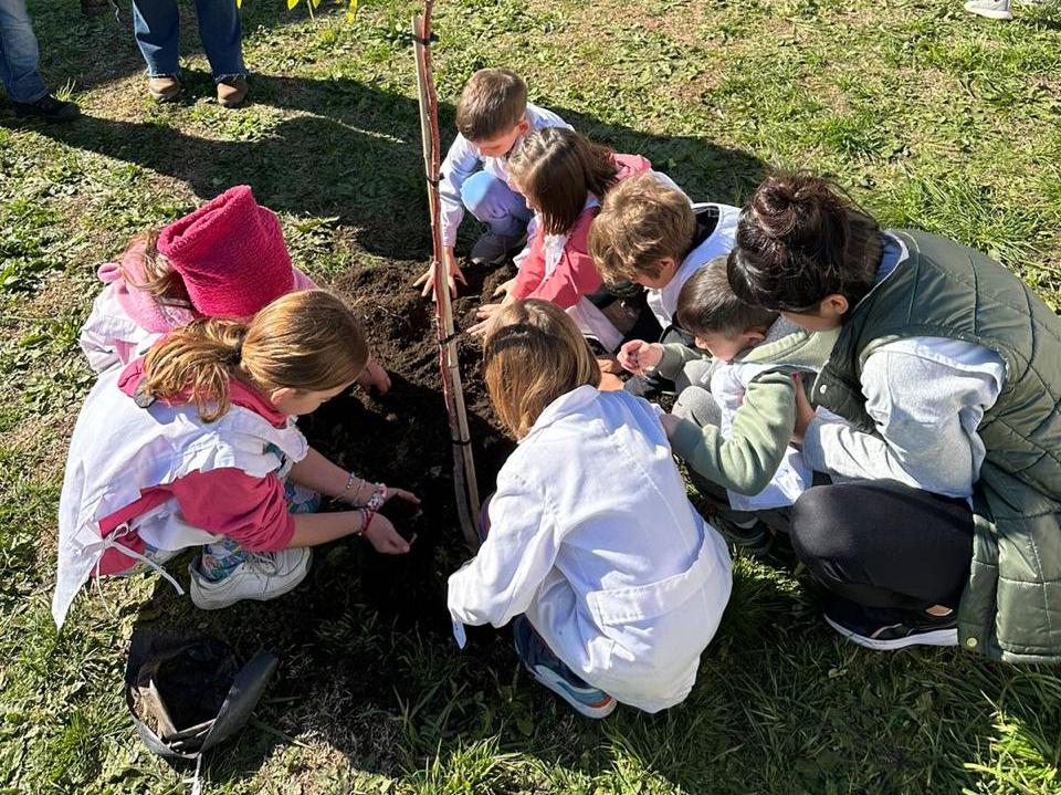 DONACIÓN DE PLANTAS: PROMOVIENDO LA CONCIENCIA AMBIENTAL EN LA ESCUELA PRIMARIA N°3