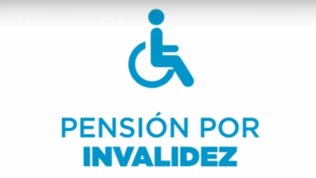 RELEVAMIENTO DE PENSIONES NO CONTRIBUTIVAS POR INVALIDEZ EN BALCARCE