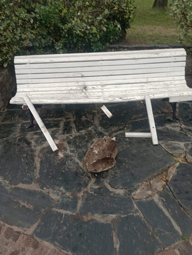 ACTO DE VANDALISMO EN PLAZA DE LA CRUZ