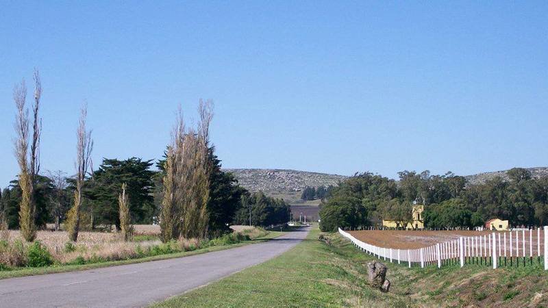 RELEVAMIENTO DE DERECHOS DE CONSTRUCCIÓN EN LOS PINOS