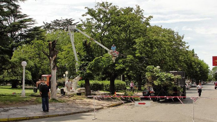 SE ABRIÓ LA PREINSCRIPCIÓN AL REGISTRO DE PODADORES URBANOS