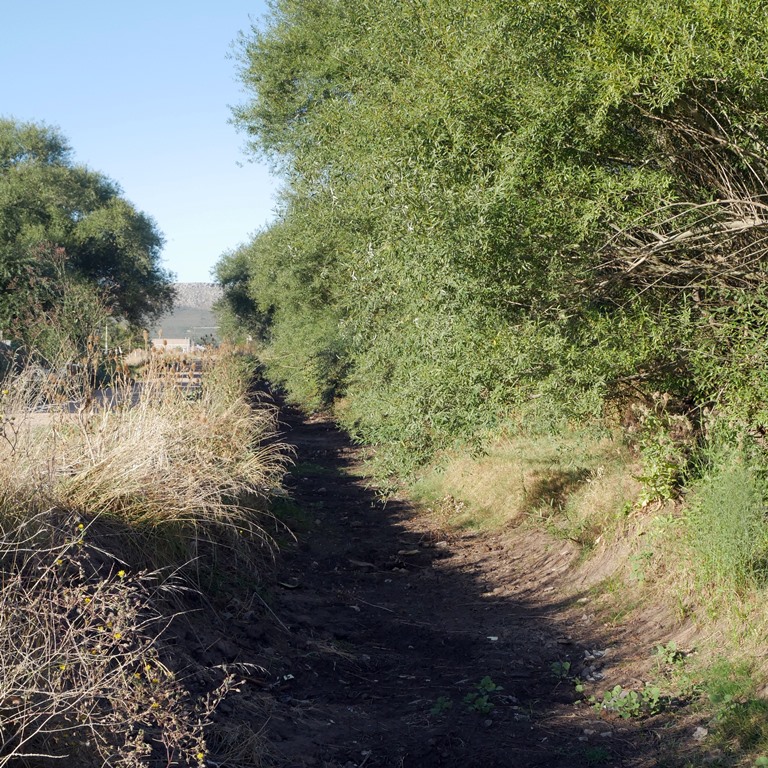 AVANZA EL PLAN HÍDRICO EN LA CUENCA ESTE: RECONSTRUCCIÓN Y LIMPIEZA DE CANALES