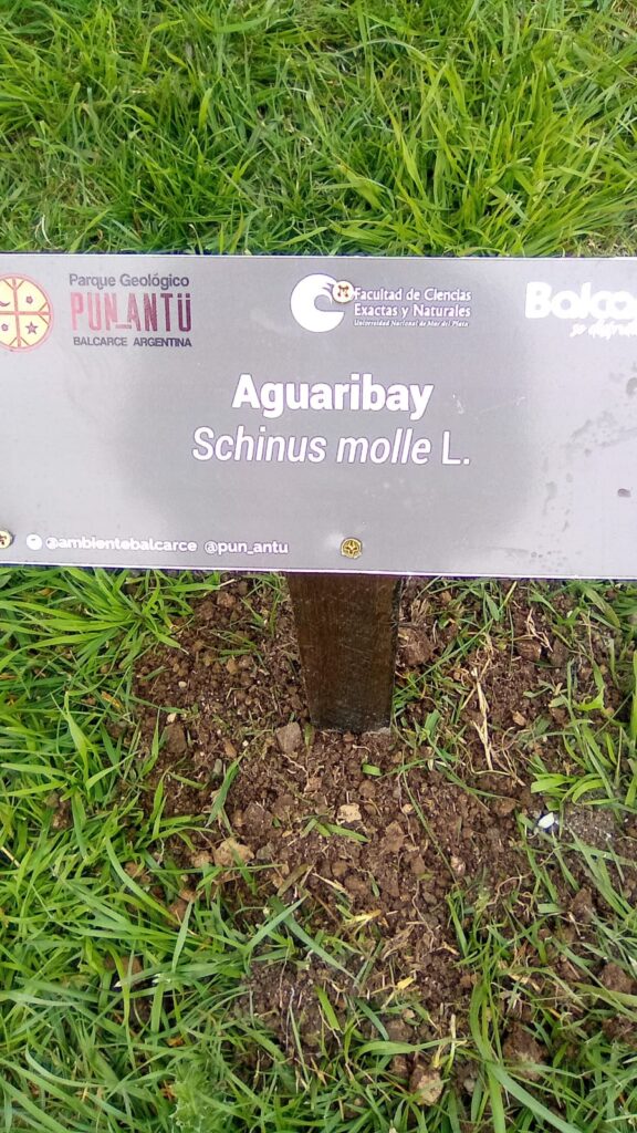 NUEVOS CARTELES IDENTIFICATORIOS PARA LOS ÁRBOLES DEL GEOPARQUE PUN ANTÜ