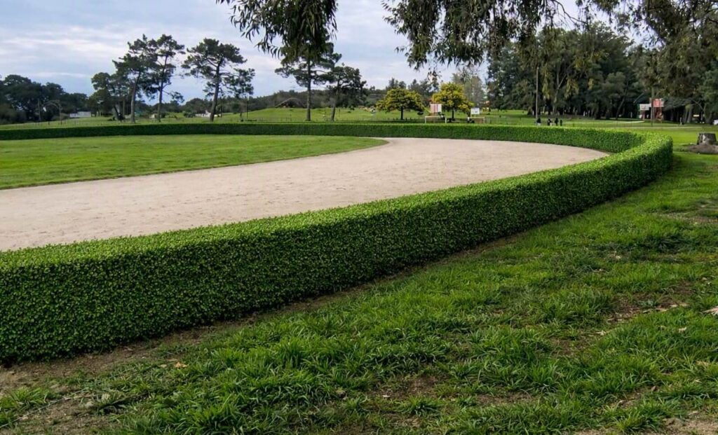 SE AVANZARÁ CON LA PARQUIZACIÓN DE LA PISTA DE ATLETISMO DEL CERRO “SERAPIO GÓMEZ”